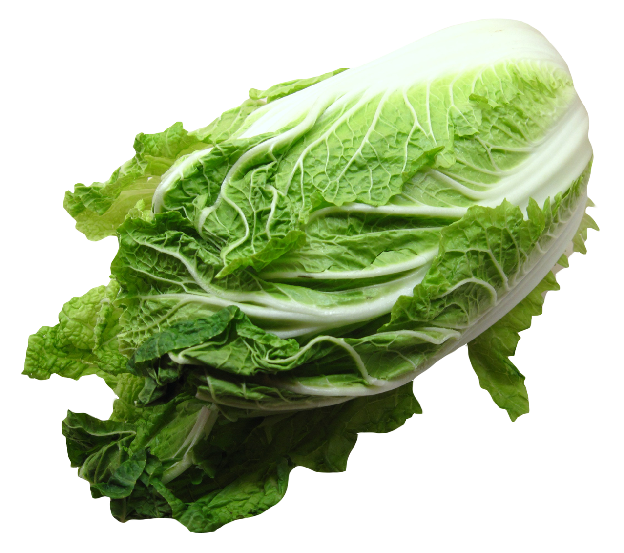 vegetable